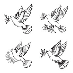 Obraz premium Hand-Drawn Peace Dove Illustrations with Olive Branches – Vintage Style Line Art Set