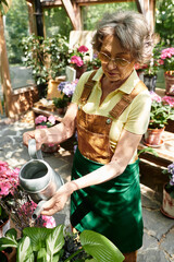 Joyful moments in a vibrant garden as a senior woman nurtures her blooming plants