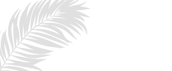 Minimal Botanical Shadow Background with Leaf Silhouettes