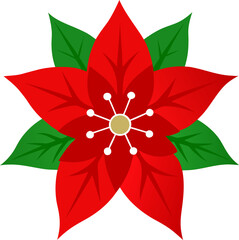 red flower isolated on white