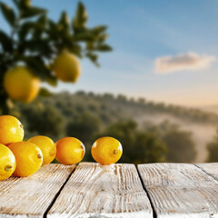 Fresh yellow lemons on rustic wooden table with blurred citrus orchard in background – concept of...