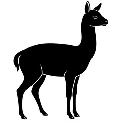 Vicuna vector silhouette black design white background