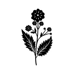 Tansy flower with leaf silhouette