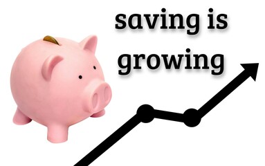 Representation of monetary growth through savings