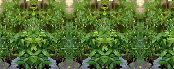 Symmetrical Pattern of Bay Leaf Plant with Natural Green Texture