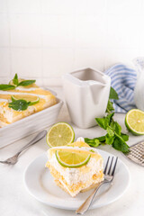 Summer mojito tiramisu dessert, Lime and mint sweet sour taste version of summer tiramisu cake with fresh citrus curd, mascarpone and savoyardi