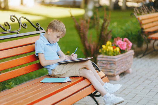 Young boy in blue polo shirt doing homework outdoors on sunny day