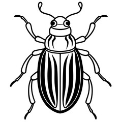 Beetle line art vector