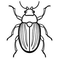 Beetle line art vector