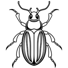 Beetle line art vector
