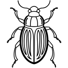 Beetle line art vector