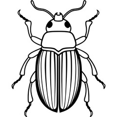 Beetle line art vector