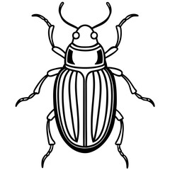 Beetle line art vector