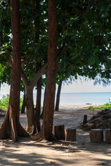 Fototapeta premium Sirinat National Park in Phuket Province, Thailand. This park with sections on land and sea is in the northwest of island of Phuket. Vertical image