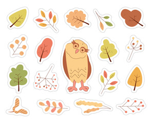 A set of stickers with a cute owl, branch, leaves and trees. Color flat vector illustration.