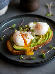Delicious Avocado Toast with Poached Eggs, Microgreens, and Spices on Dark Plate