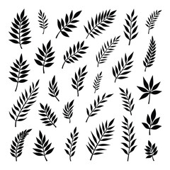 Black botanical foliage patterns leaves nature