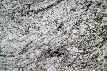 Textured Gray and White Surface