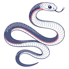 Artistic Curved Snake Vector Red and Blue Reptile Illustration