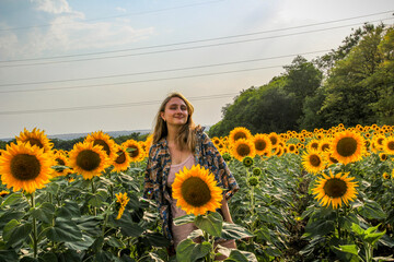 young blond woman stands in sunflower field, full face, evening sun, large yellow flowers, posing,...