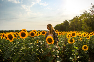 young blond woman stands in sunflower field, profile, view from afar, full length, evening sun, large yellow flowers, posing, smiling