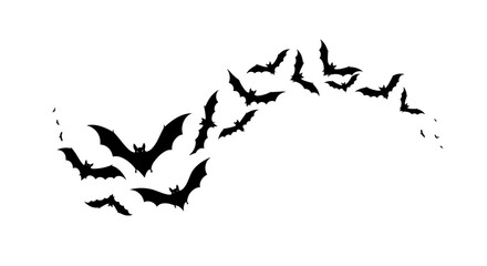 Obraz premium Silhouette of flying bats in curved pattern on white background