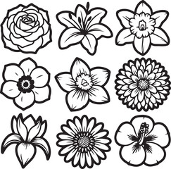 Fototapeta premium Stylized floral collection flowers rose