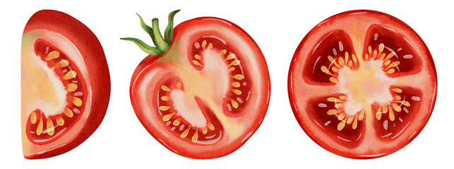 Set of tomatoes. Fresh tomato, watercolor, isolated on white background. Hand-drawn watercolor. Set of tomatoes. Vegetables. Watercolor drawing.