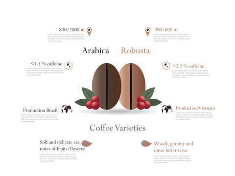 Comparing arabica and robusta coffee beans, caffeine content, growing altitudes, and flavor profiles