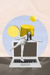 Pop art zine photo collage of happy businesswoman stand laptop keypad freelancer income dollar coin...