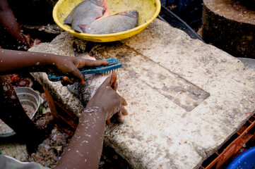 Obraz premium Fish cleaning process at a bustling market in West Africa