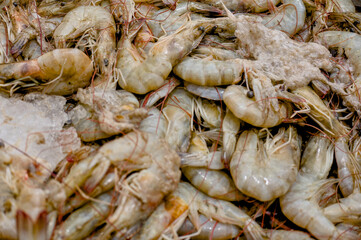 Fresh shrimp displayed on ice at a market stall