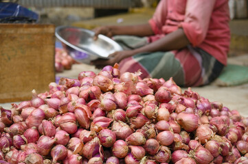 Freshly harvested shallots displayed in a local market