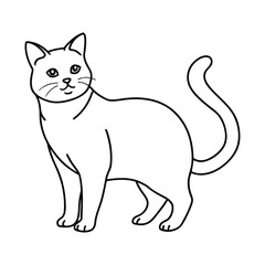 Simple black line drawing of a cat standing on a white background isolated on white background