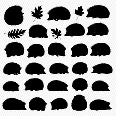 Silhouette collection of various hedgehog poses and with leaves. © Adji
