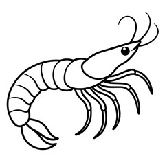 Simple Shrimp Drawing