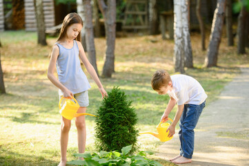 Boy and girl stand barefoot on grass and water planted thuja tree with watering can in country...