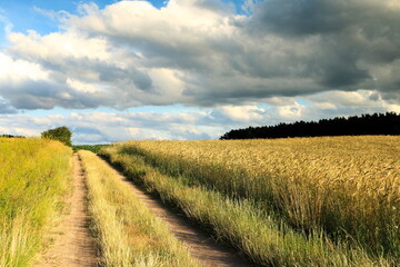 Polna droga © Ireneusz