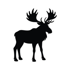 Silhouette of majestic moose with big antlers on white background  