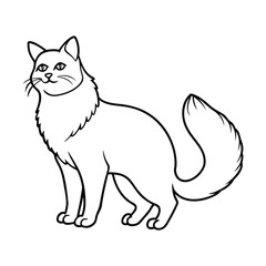Outline drawing of a fluffy cat standing and looking to the side isolated on white background