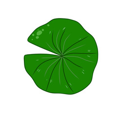 Watercolor Overlapping Lotus Leaves