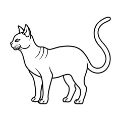 Elegant siamese cat outline standing profile view isolated on white background