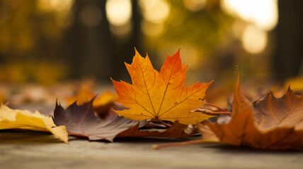 A close-up macro photograph of autumn maple leaves on a wooden surface.
