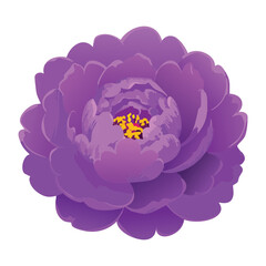 Lush Purple Peony Flower Detailed Petals Illustration