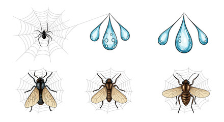 Illustration of a spider on a web with flies caught in webs and water droplets above them all together