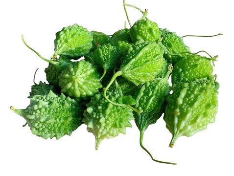 A pile of fresh bumpy green bitter melons on a white background karela