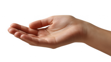 Open human hand cupped upwards offering or receiving something isolated on transparent background