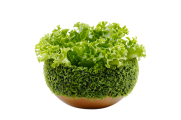 Colorful Glitter Star Shaped Decorations