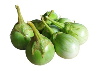 A pile of small round green eggplants with light green stripes Thai Eggplant