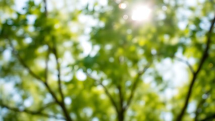 Obraz premium Sunlight filters through green foliage, creating a dreamy bokeh effect against the sky in this serene natural scene.